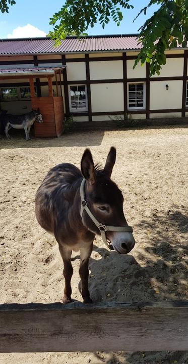 Jakobshof Beelitz